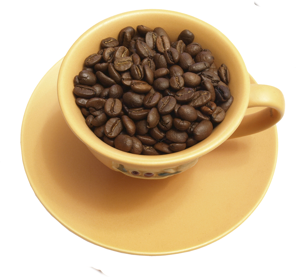 Download Coffe Beans In Cup - Java Coffee - Full Size PNG Image - PNGkit