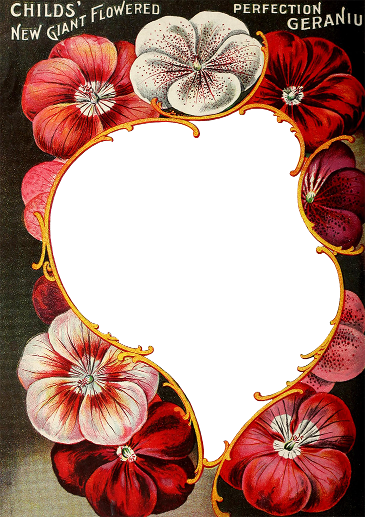 Wings Of Whimsy - Floral Design (730x1033), Png Download