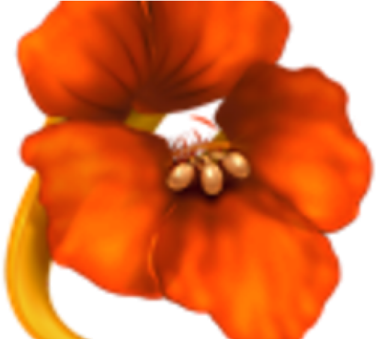 Flower Icon For Mac (640x480), Png Download