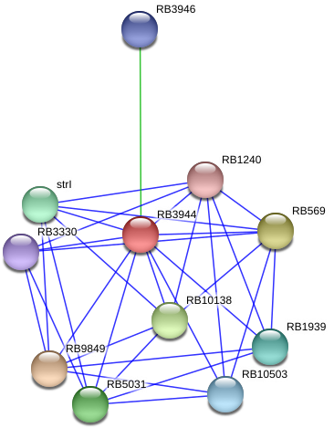 Circle (975x506), Png Download