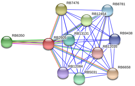 Circle (976x335), Png Download