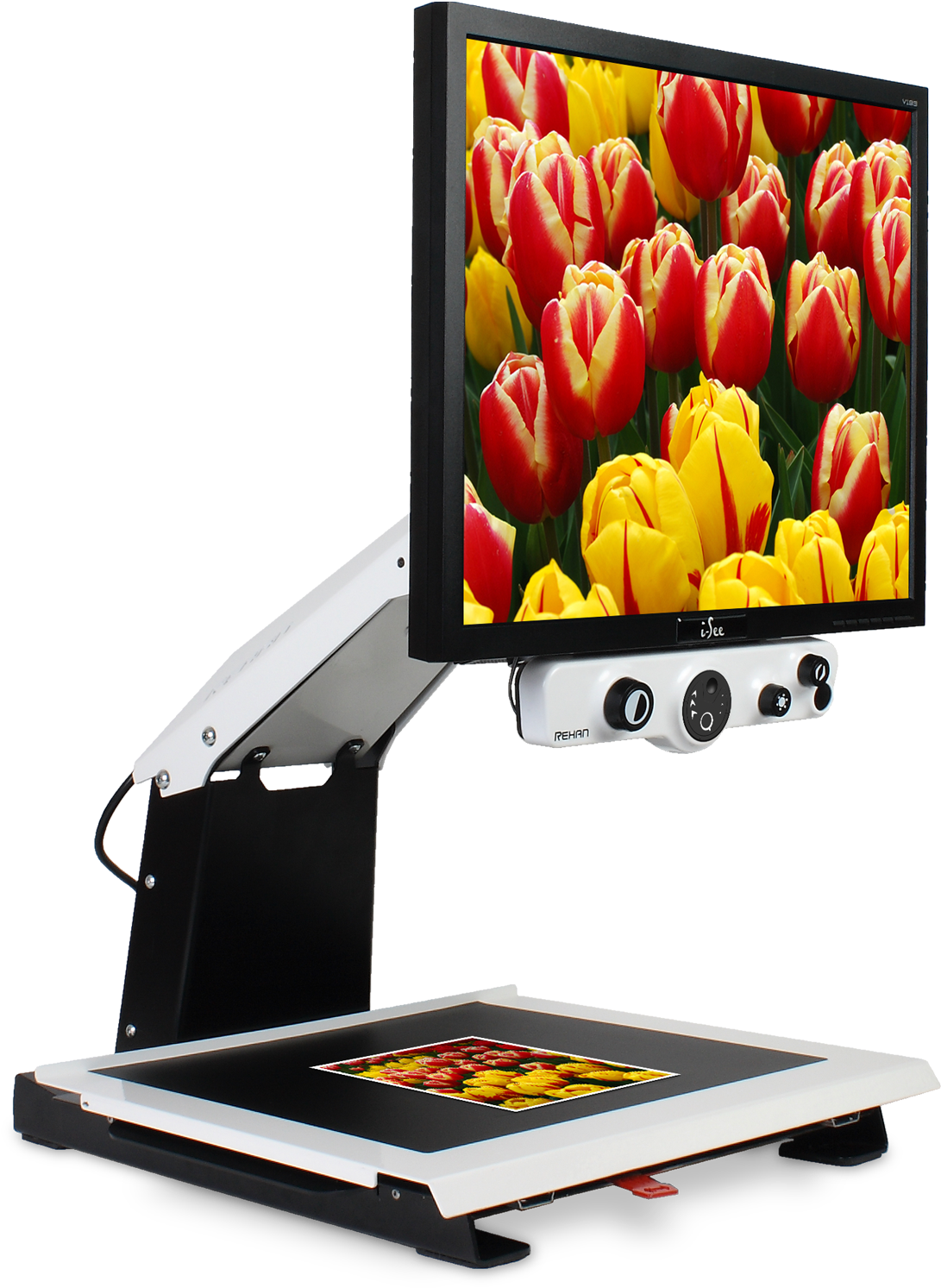 Desktop - Rehan I See (1586x1587), Png Download