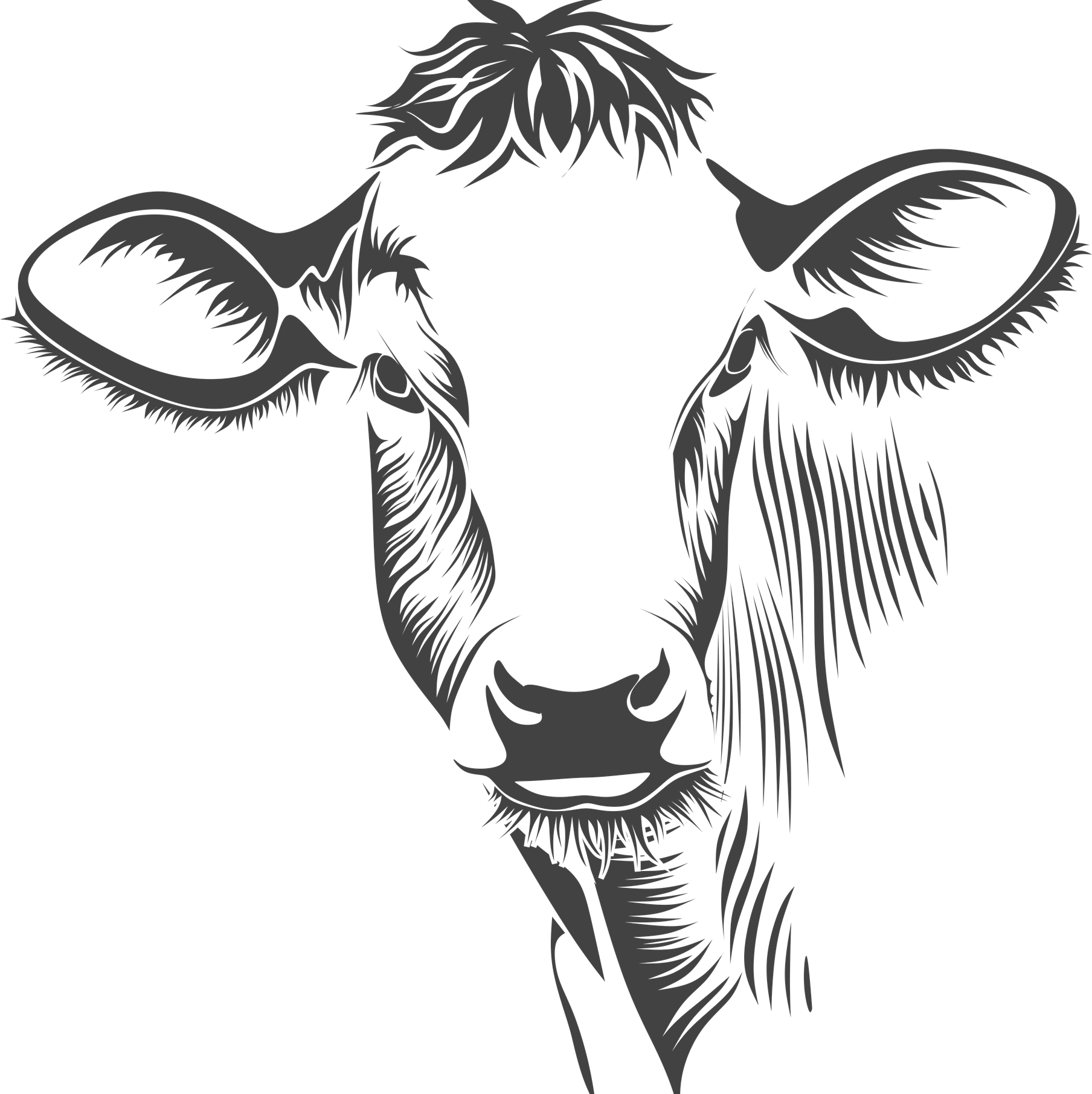 Png Library Library Organ Meats Beef Bones Pound Off - Cow Face On Canvas (1808x1810), Png Download
