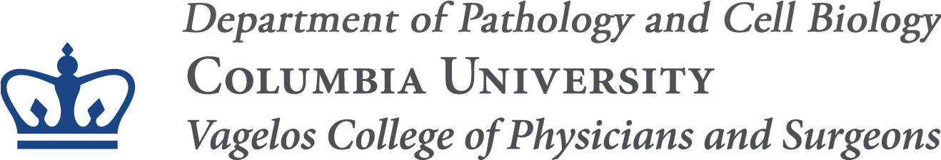 Cumcpath Logo Taub Logo - Printing (1317x309), Png Download
