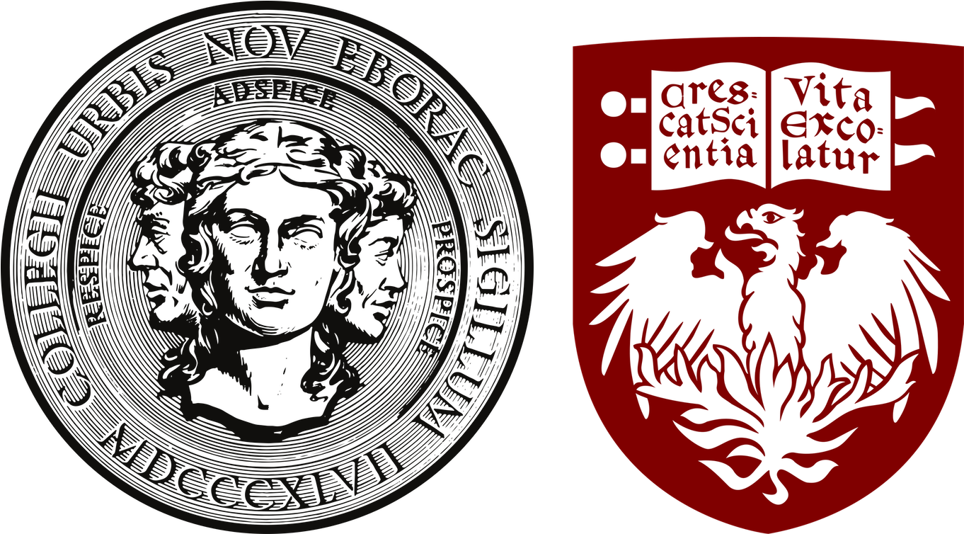 Download City College Of New York University Of Chicago Law School