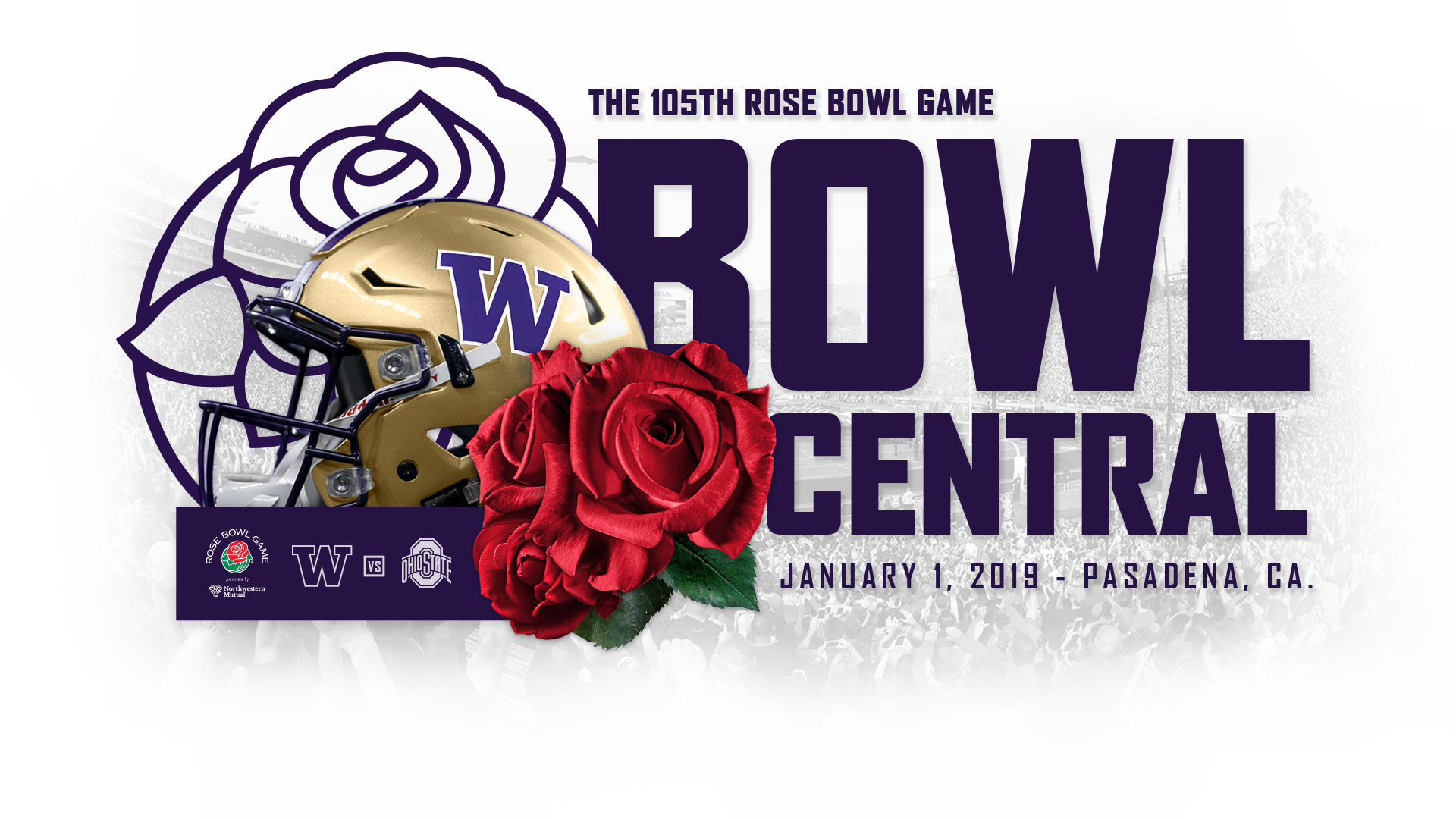 95973 - Garden Roses (1920x1080), Png Download