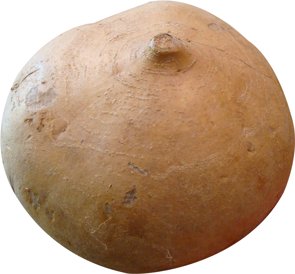 Jicama Png Image - Jicama Vegetable Png (1100x1014), Png Download