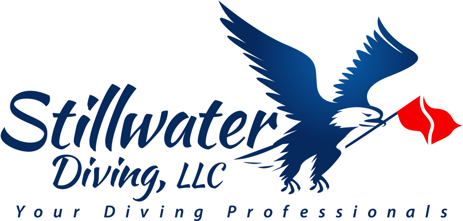 At Stillwater Diving Llc, Ordinary People Like You - Bird Of Prey (1000x505), Png Download