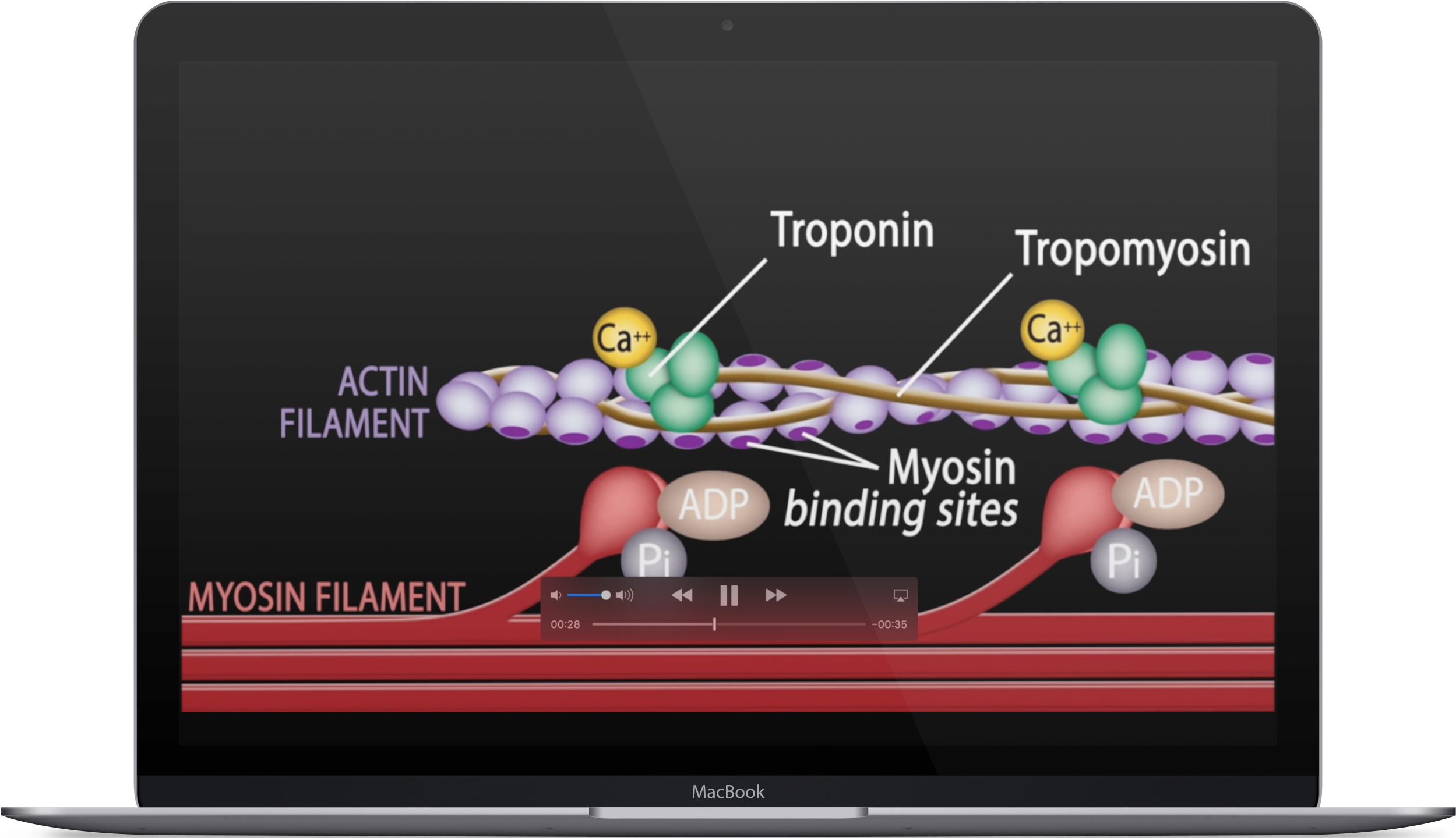 Discover New Ways To Learn - Led-backlit Lcd Display (3300x1439), Png Download