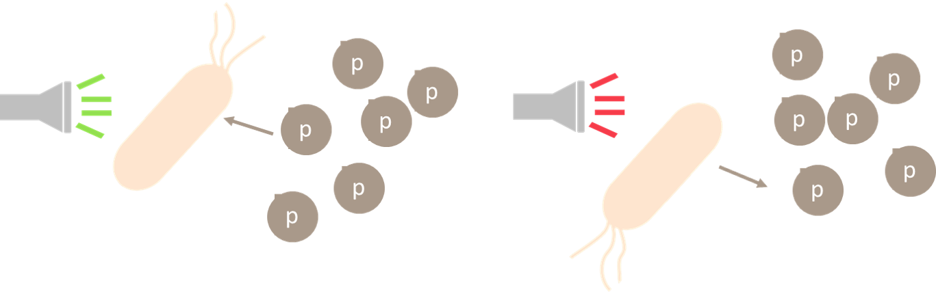 Since We Want It To Work Periodically In Order To Control - Ice Cream Bar (1367x430), Png Download