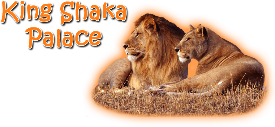 Png Lion Forest (907x424), Png Download