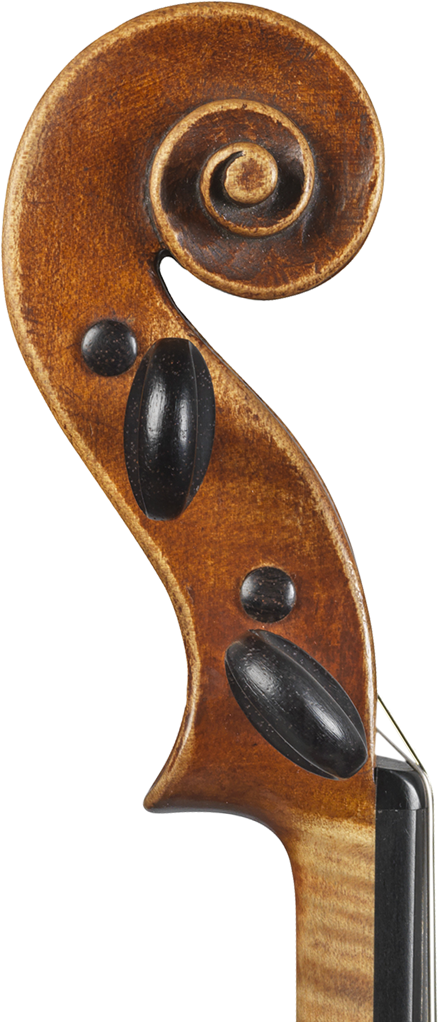 1 - Viola (967x2518), Png Download