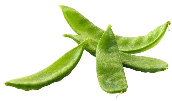Pea Png Free Image - Snap Pea (600x600), Png Download