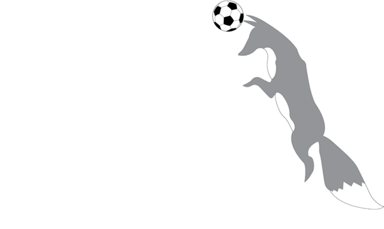 Silver Fox Sports Coaching Have Currently Called A - Graphic Design (780x477), Png Download
