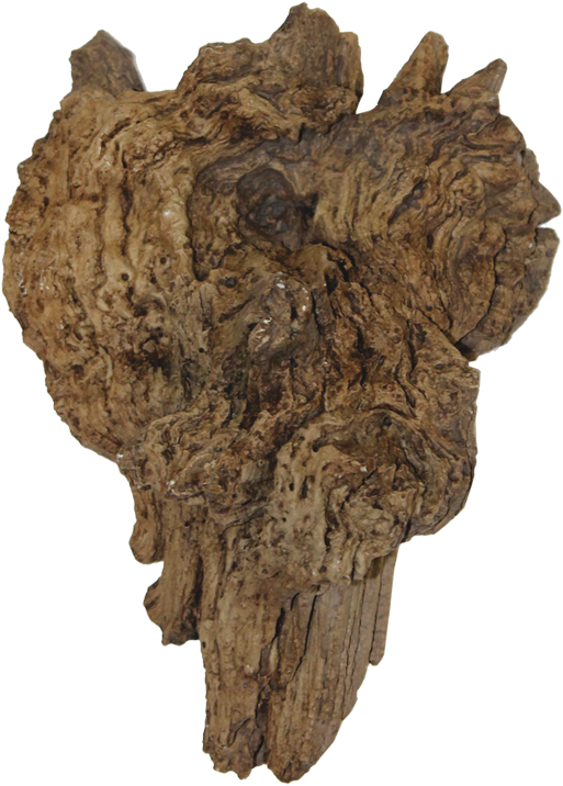 Wood (600x813), Png Download