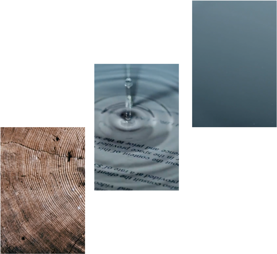 Mcitp Strangeflock - Drop (1000x1000), Png Download