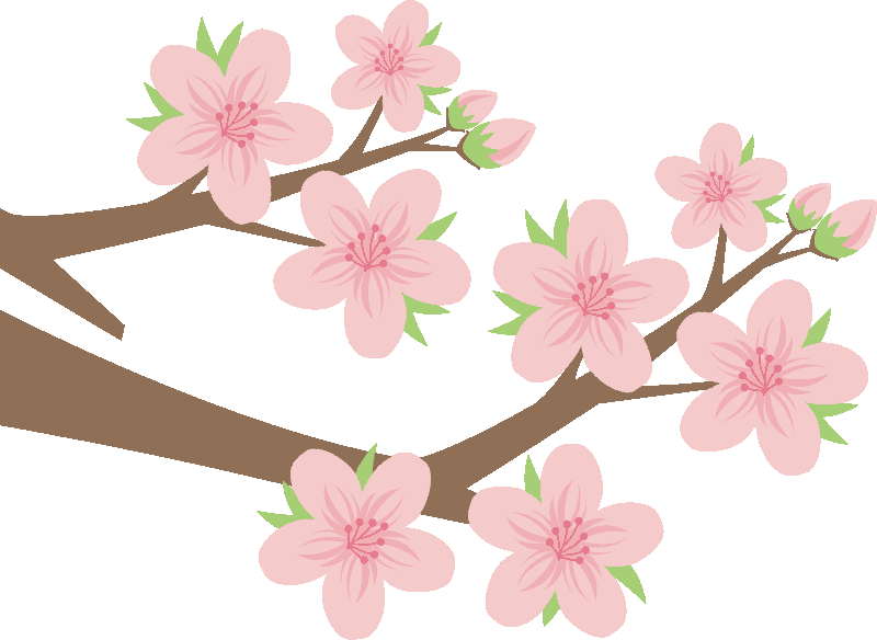 Input Sakura-2 (800x584), Png Download