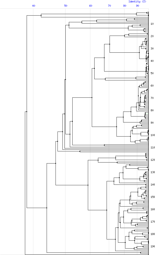 Tree For Family M26 - Diagram (800x1085), Png Download