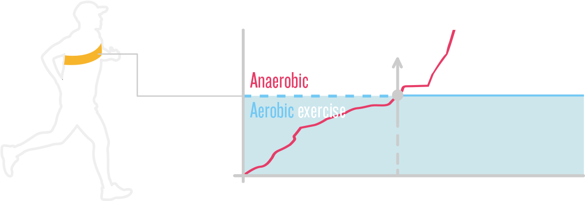 Recommended Pace T And Heart Rate T Can Directly Apply - Diagram (1245x590), Png Download