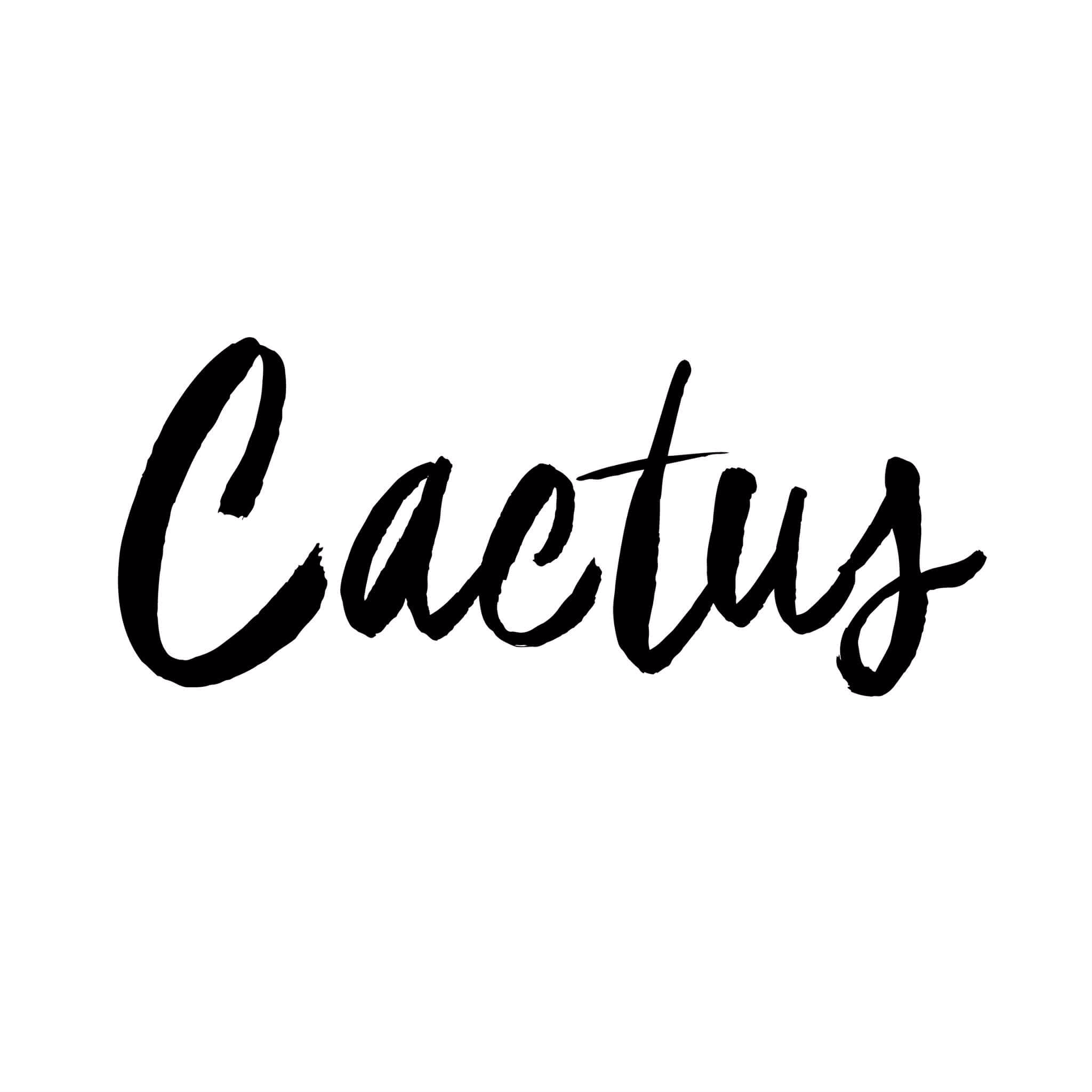 Cactushowroom - Calligraphy (2048x2048), Png Download
