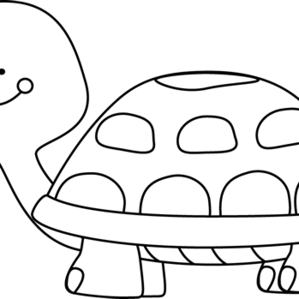 1024 X 1024 0 - Tortoise Clip Art Black And White (1024x1024), Png Download