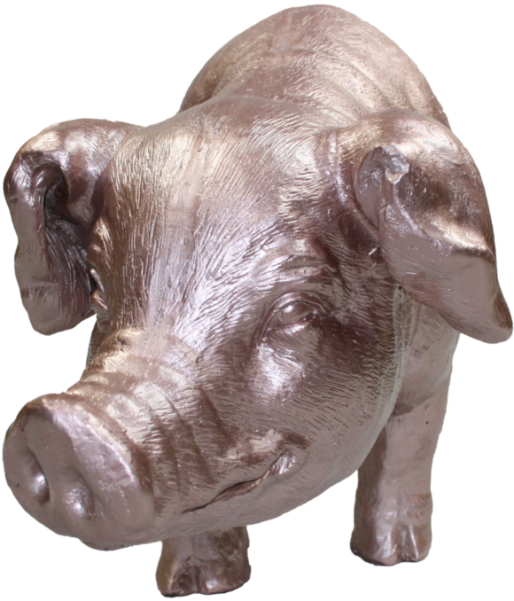 Piglet - Hippopotamus (800x800), Png Download
