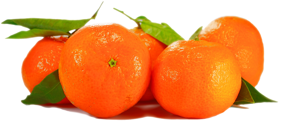 Orange, Isolated, Fruit, Plant, Nature, Close - Clementine Png (960x421), Png Download