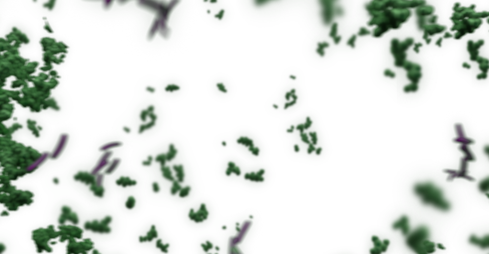 Start Exploring Rumen Development - Christmas Tree (960x500), Png Download