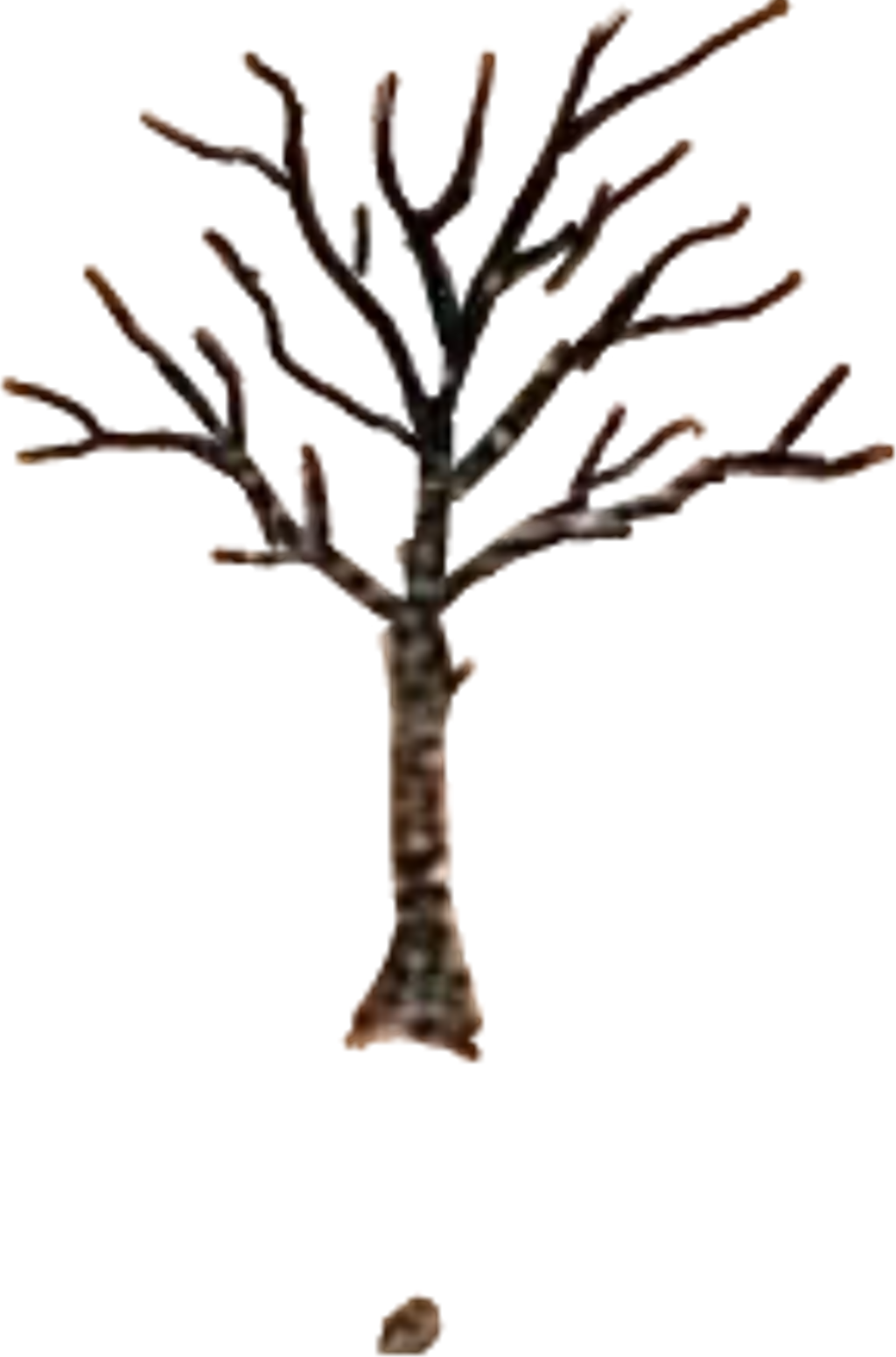 #rip #xxxtentacion #tattoo #xxxtentaction #treeoflife - Tatuaje Del Arbol De Xxxtentacion (1024x1550), Png Download