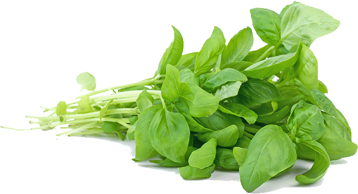 ‹ › - Aniseed Flavoured Herbs (847x1000), Png Download