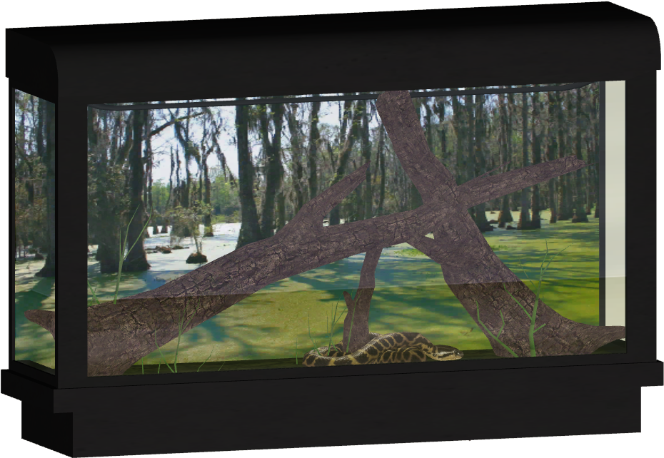 Yellow Anaconda - Zoo Tycoon 2 Terrariums (929x929), Png Download