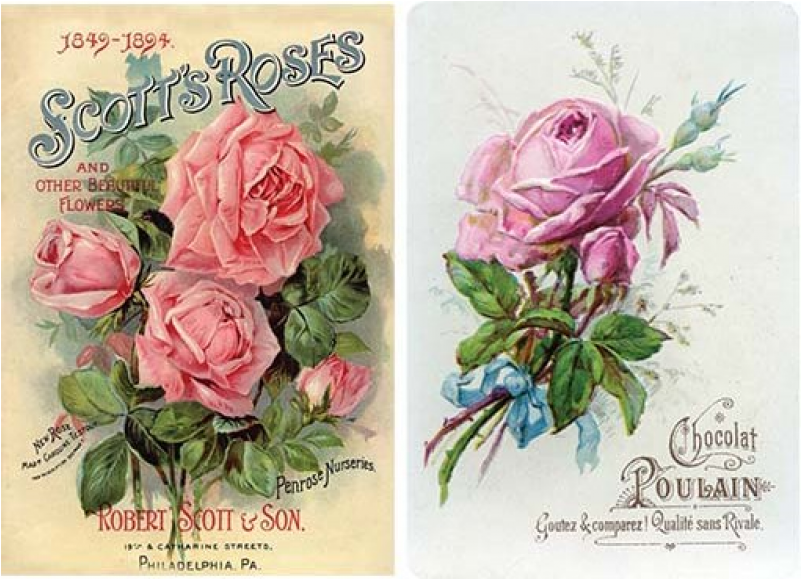Decoupage Rice Paper A3 - Scotts Roses (800x800), Png Download