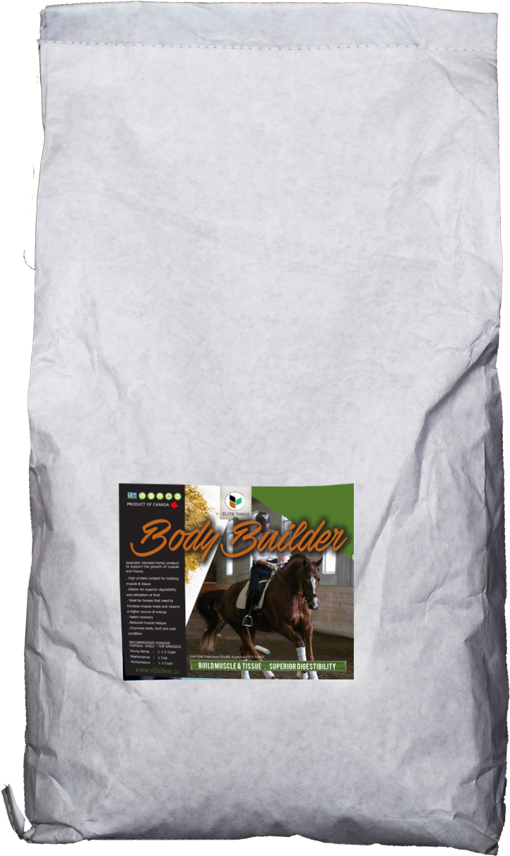 Elite Body Builder - Tote Bag (1200x1606), Png Download