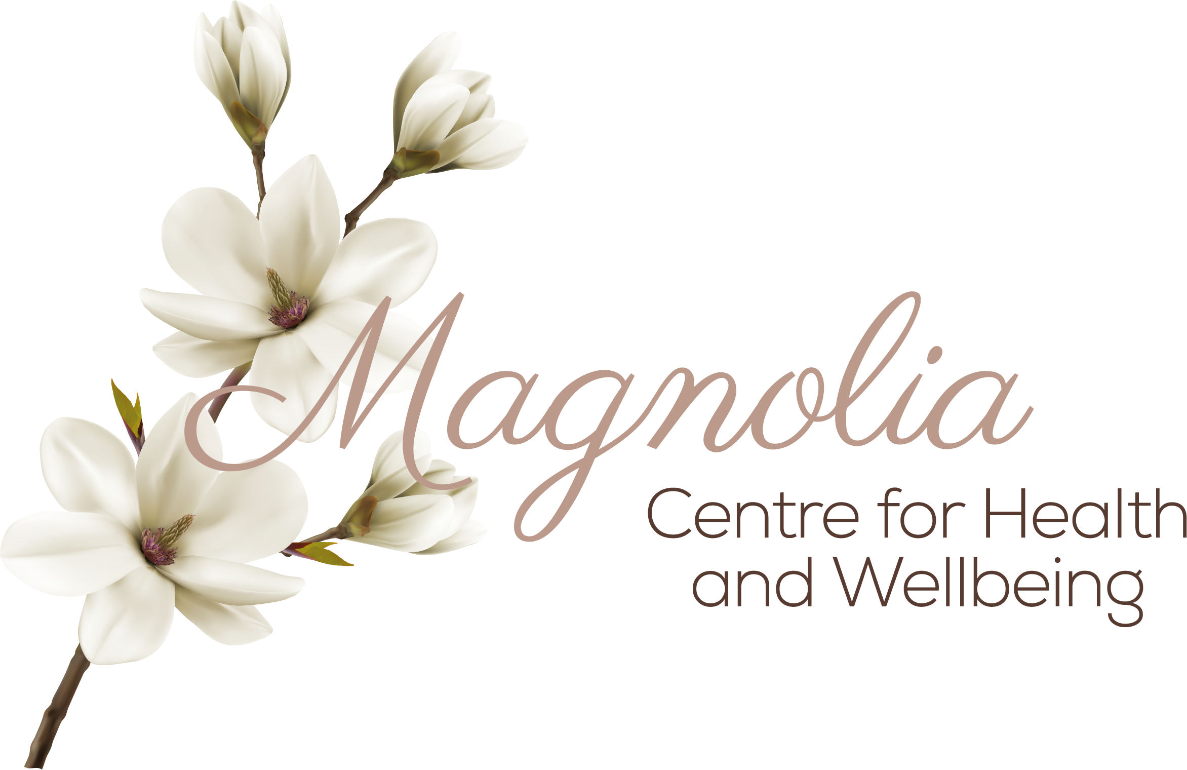 Magnolia (2344x1520), Png Download