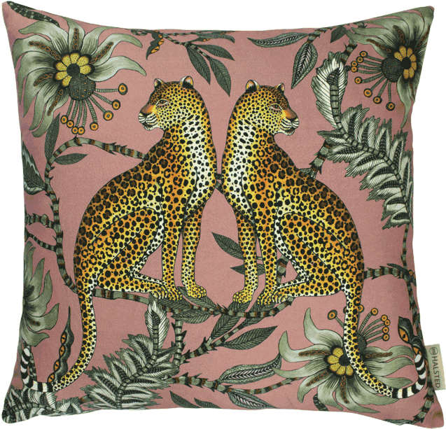 Cushion (800x800), Png Download