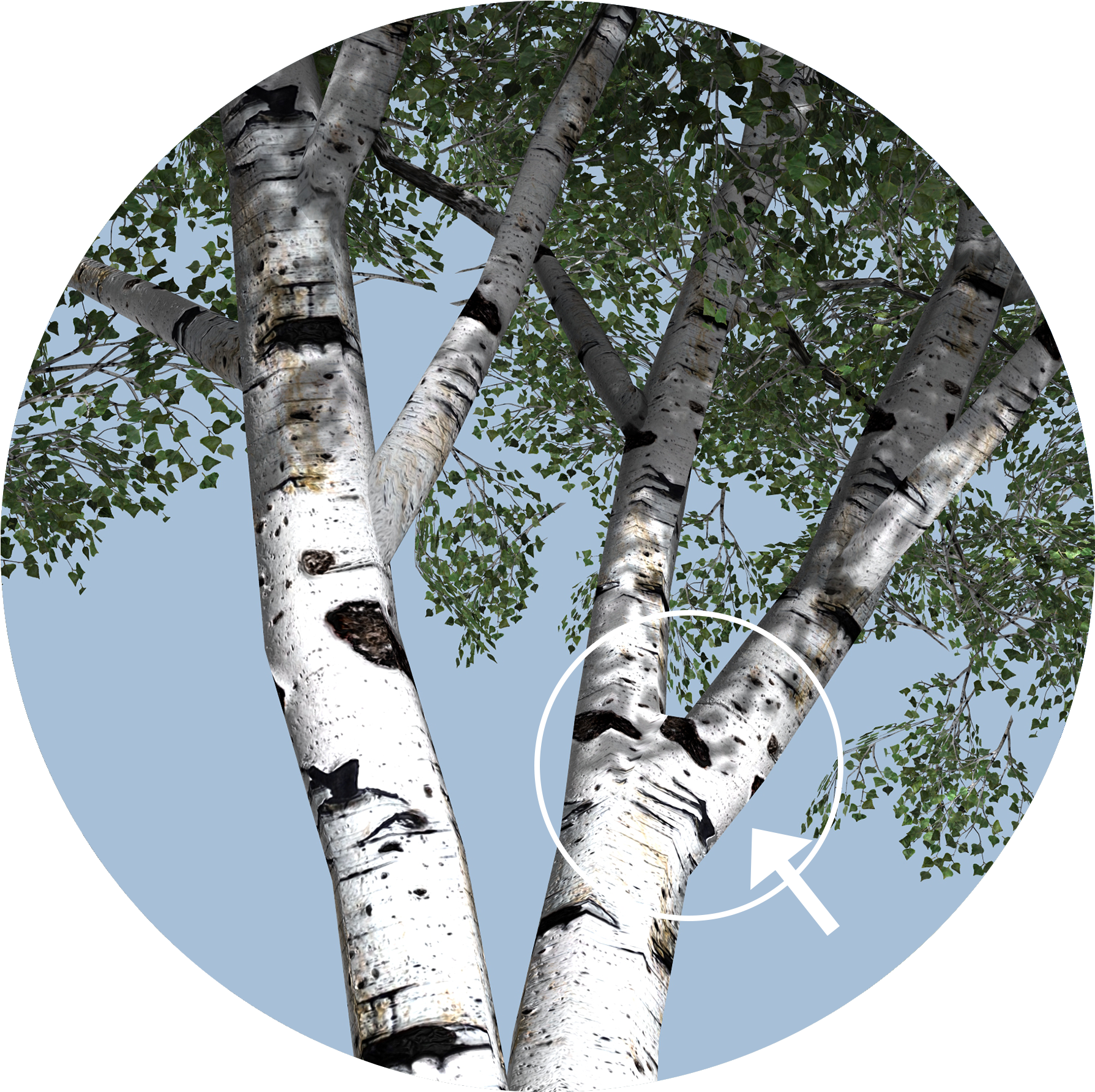 Weld - Seam Tree (1967x1846), Png Download