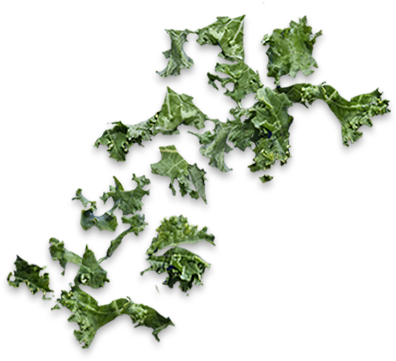 We'll Keep Tabs On Your Toppings - Parsley (572x547), Png Download