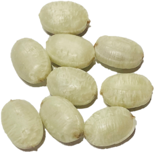 Sugar Free Chocolate Limes - Pebble (570x540), Png Download