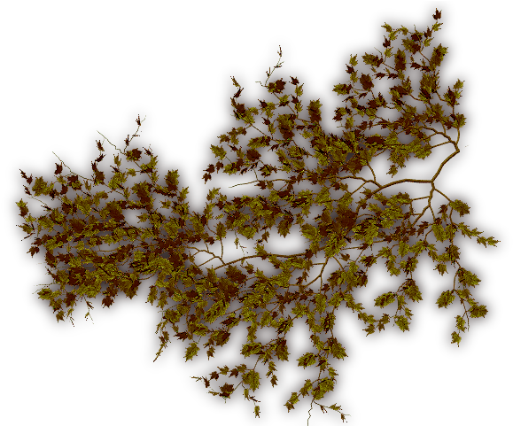 Creepers Dry-f - Portable Network Graphics (640x480), Png Download