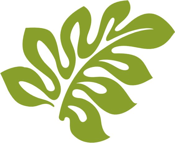 Vector Leaf Transparent - Hibiscus Clip Art (564x564), Png Download