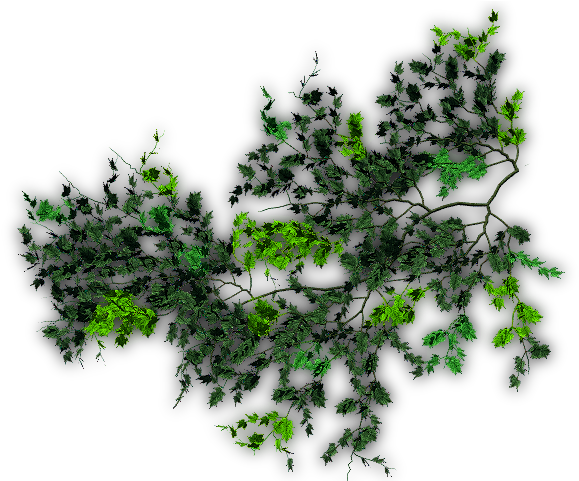 06 Feb 2009 - Creepers Png For Photoshop (640x480), Png Download