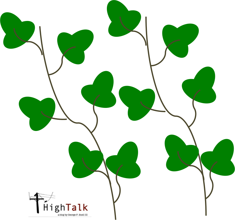 Vines Are Some Of The Most Beautiful Plants In The (776x724), Png Download