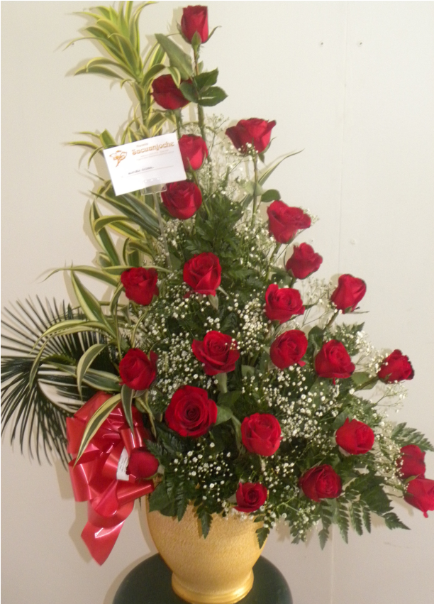 24 Rosas Rojas - Arreglo De 24 Rosas Rojas (850x850), Png Download