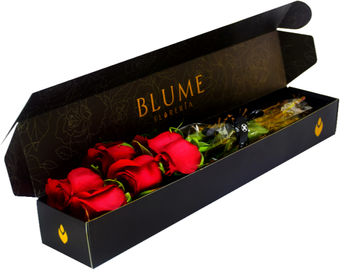 Caja De 6 Rosas Rojas - Floral Design (680x884), Png Download