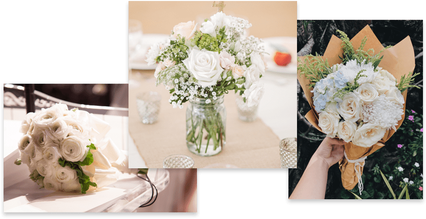 Rosas Blancas - Garden Roses (950x480), Png Download