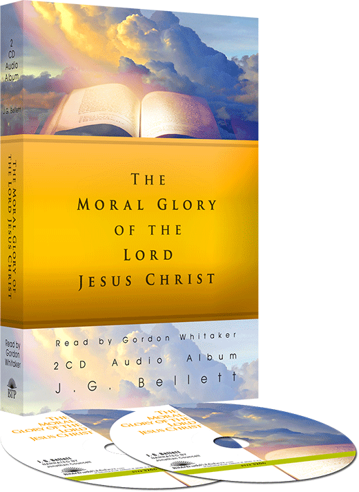 A Short Meditation On The Moral Glory Of The Lord Jesus - Flyer (520x712), Png Download