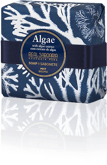 Saiba - Algae (700x1010), Png Download