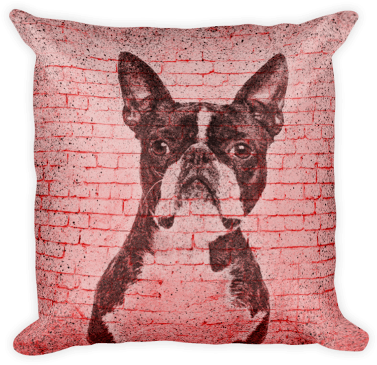 Boston Terrier (600x600), Png Download