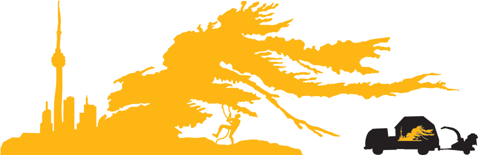 Big-logo2 - Illustration (1000x314), Png Download