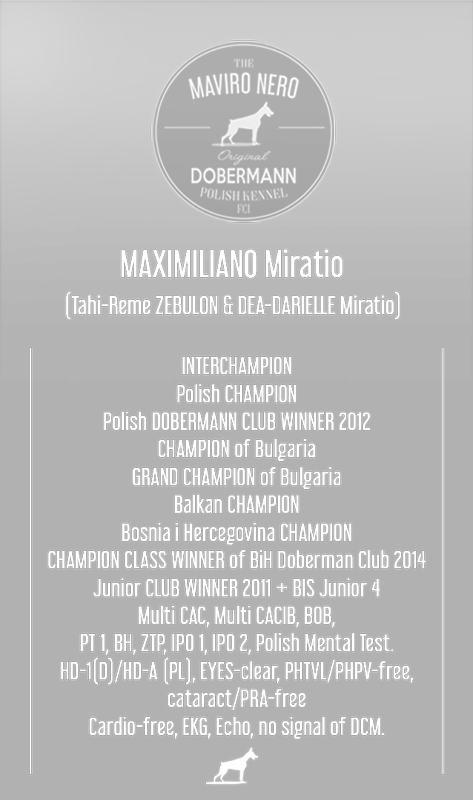 Maximiliano Miratio - Canidae (473x800), Png Download